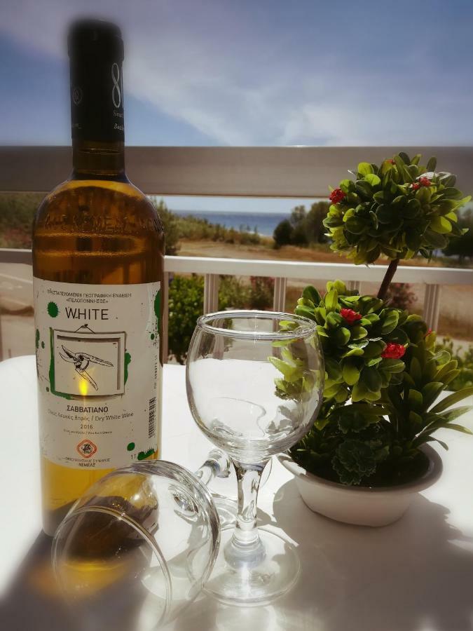 Eleftheria'S Apartments Ερατεινή Εξωτερικό φωτογραφία