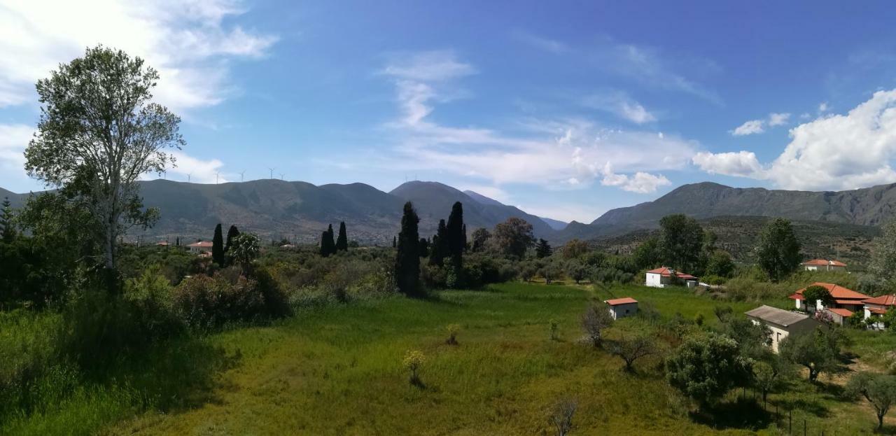 Eleftheria'S Apartments Ερατεινή Εξωτερικό φωτογραφία