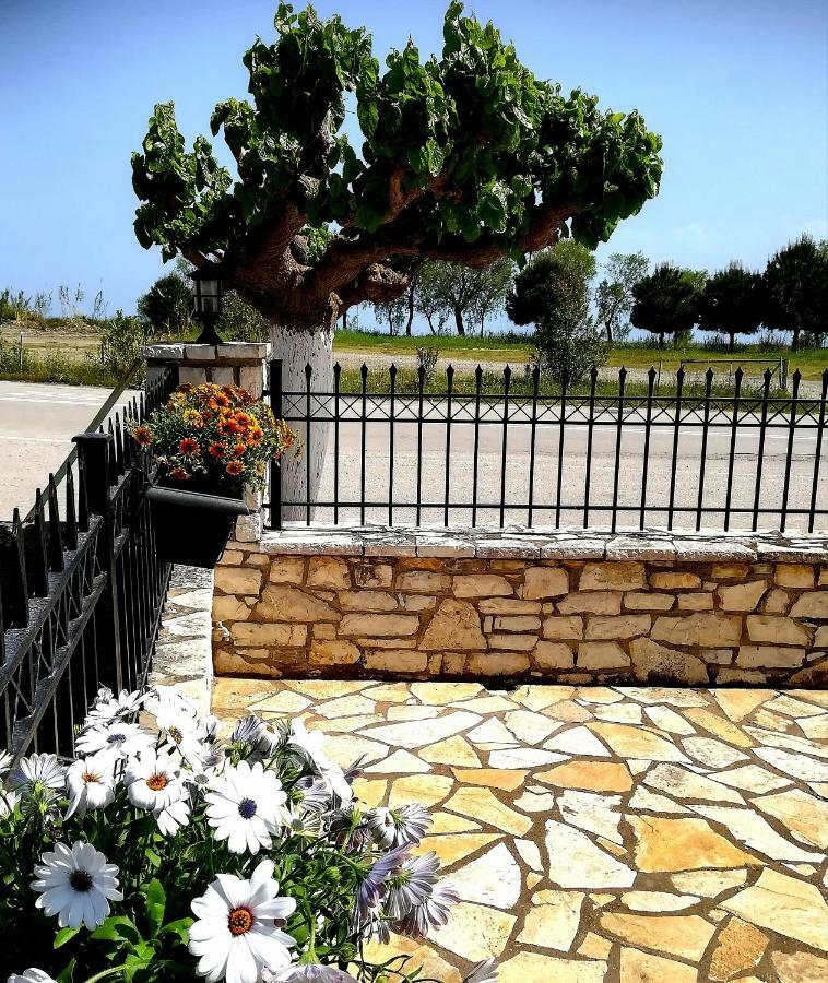 Eleftheria'S Apartments Ερατεινή Εξωτερικό φωτογραφία